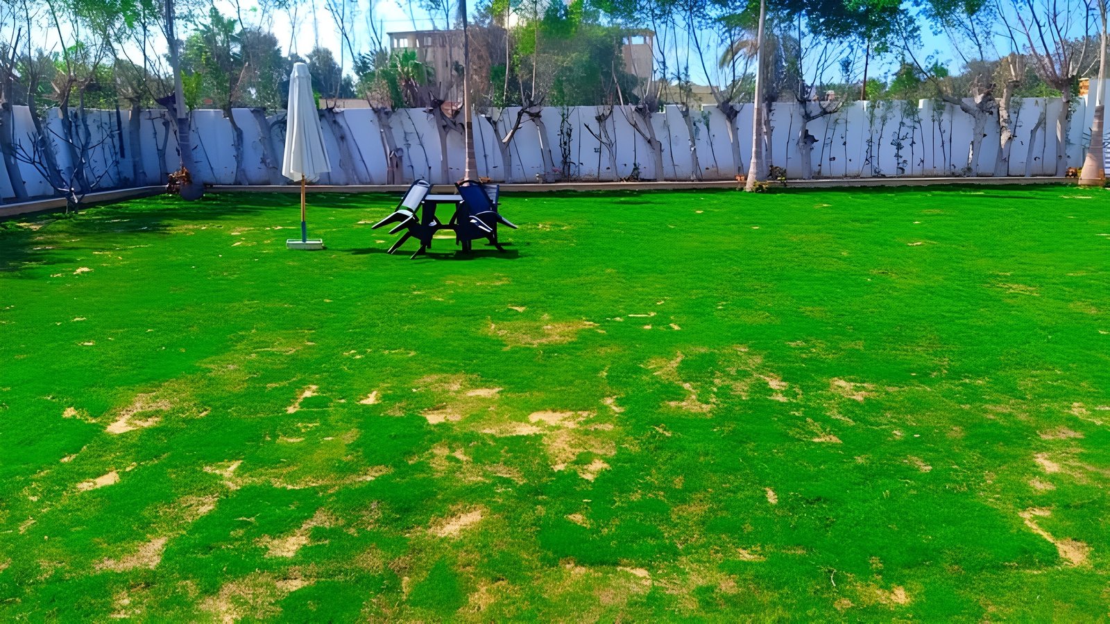 Luxurious Smart Villa - 1700 sqm Land with Pool & Jacuzzi in King Mariout, Alexandria - Media 2